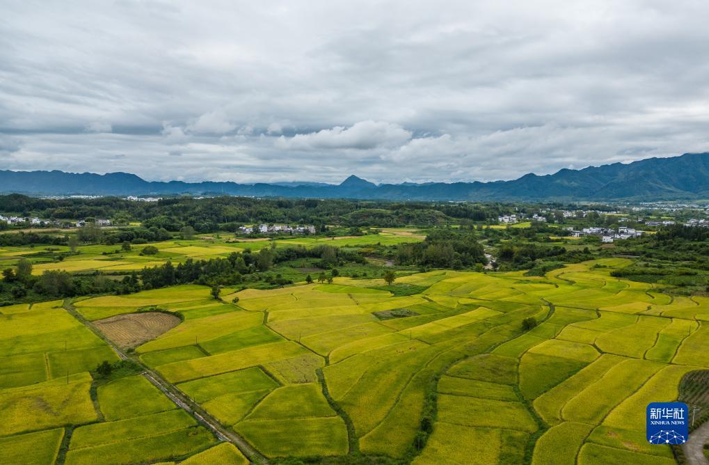 新时代赌城怎么样
